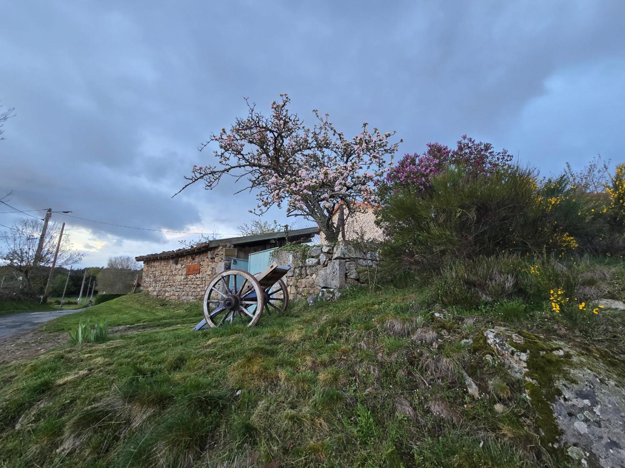 Gite La Menou Villa Usson-en-Forez Habitación foto